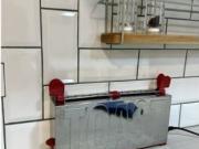 Estudio en alquiler en Barrio Gótico, Barcelona