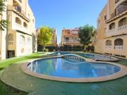 Estudio en alquiler en Torrevieja, Alicante Costa Blanca