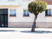 ESTUDIO EN EL PARQUE DEL EBRO