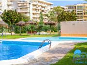 ESTUDIO EN LA PINEDA CON PISCINA Y JARDINES – GRAN...