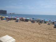 Estudio en Torrevieja