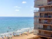 Estudio en venta en Elche Alicante