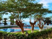 Estudio en Venta en Los Cristianos