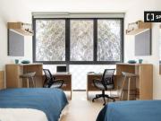 Estudio Twin en la Residencia de Estudiantes en Granada
