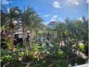 Estudio Venta Adeje, Costa Adeje