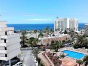 Estudio Venta Adeje, Costa Adeje