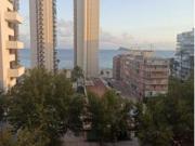 Estudio Venta Benidorm, Platja de Llevant