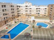 Estudio Venta Torrevieja, Centro