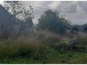 ESTUPENDA CASA CON TERRENO EN LA ESCUCHA