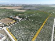 ESTUPENDA FINCA DE ENSUEÑO POR LA CARRETERA DE TREBUJENA