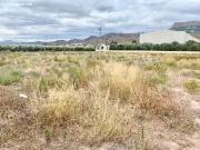 Estupenda Parcela a 1 km del Gato