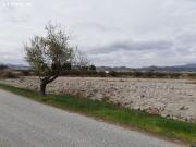 ESTUPENDA PARCELA EN EL ESPARRAGAL PARA CONSTRUCCION DE...