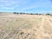 ESTUPENDA PARCELA EN PURIAS