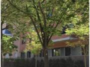 Estupendo bajo con TERRAZA