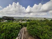 ESTUPENDO CAMPO EN PLENA PRODUCCIÓN EN LA BARRACA DE...