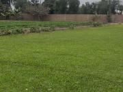 ESTUPENDO TERRENO TIPO FUNDO EN VENTA EN CASABLANCA,...