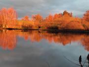 ETANG