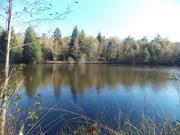 Etang