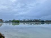 Étang et bassins de pisciculture