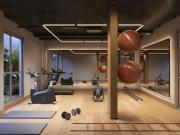 Eucalys Moema Eucalipto