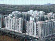 Evershine Amavi 303 Phase 1,Virar West 2 BHK Apartment...