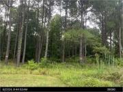 Everton Ct, Albany, Plot For Sale