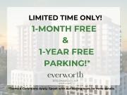 Everworth 3030 Pharmacy Avenue