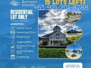 EVO CITY BAYPOINT ESTATES Residential LOT ONLY in Kawit...