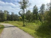 Ewing Branch/ethan Dr, Albany, Home For Sale