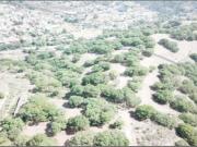 EX HACIENDA DE SAYAVEDRA TERRENO VENTA ATIZAPAN DE...