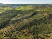 Excecional rural de 9,7 Hectares perto de Mértola!,...