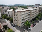 Excelente apartamento T3 +1 renovado 0m² Oliveira, São...