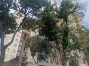 Excelente apartamento tipo para venda em Lauzane...