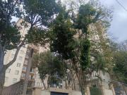 Confortável apartamento tipo para venda em Lauzane...