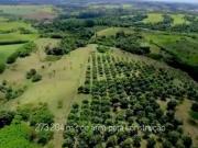 EXCELENTE ÁREA A VENDA NA CASTELO BRANCO NA REGIÃO DE...