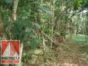 EXCELENTE ÁREA COM NASCENTE EM JUQUITIBA DE 14 ALQUEIRES