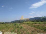 Excelente área de 414.446, 82 m² na Rodovia D. Pedro I...