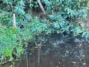 EXCELENTE ARÉA EM JUQUIÁ, DE 30.000 MIL METROS...