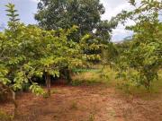 EXCELENTE ÁREA NO BARREIRO/TAUBATÉ SP