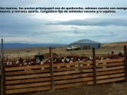 Excelente campo 10.000 Has en Calafate
