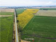 EXCELENTE CAMPO PARA DESARROLLO INMOBILIARIO