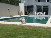 EXCELENTE CASA 10X50 4 DORM 4 BAÑOS PILETA QUINCHO