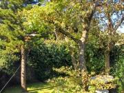 Excelente casa con grandes espacios en Héroes de...