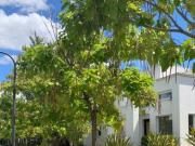 Excelente casa en venta o alquiler sobre agua, en Barrio...