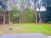 Excelente Casa Para Remodelar, San Ángel