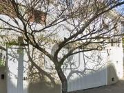 Excelente Casa para Venda ou Locação em São Paulo SP,...