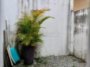 Excelente casa para venda possui 76 metros quadrados com...