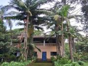 Excelente Chácara 10.000m2 Santo Antônio de Posse SP