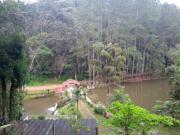EXCELENTE CHÁCARA COM PISCINA E LAGOS EM JUQUITIBA COD:...
