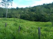 Excelente Chácara de 8 Hectares na Fercal / Rio nos Fundos